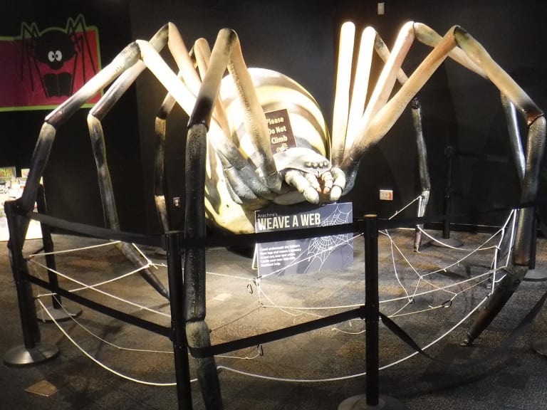 4月にフェニックスでやるべき10のこと - Hellotickets